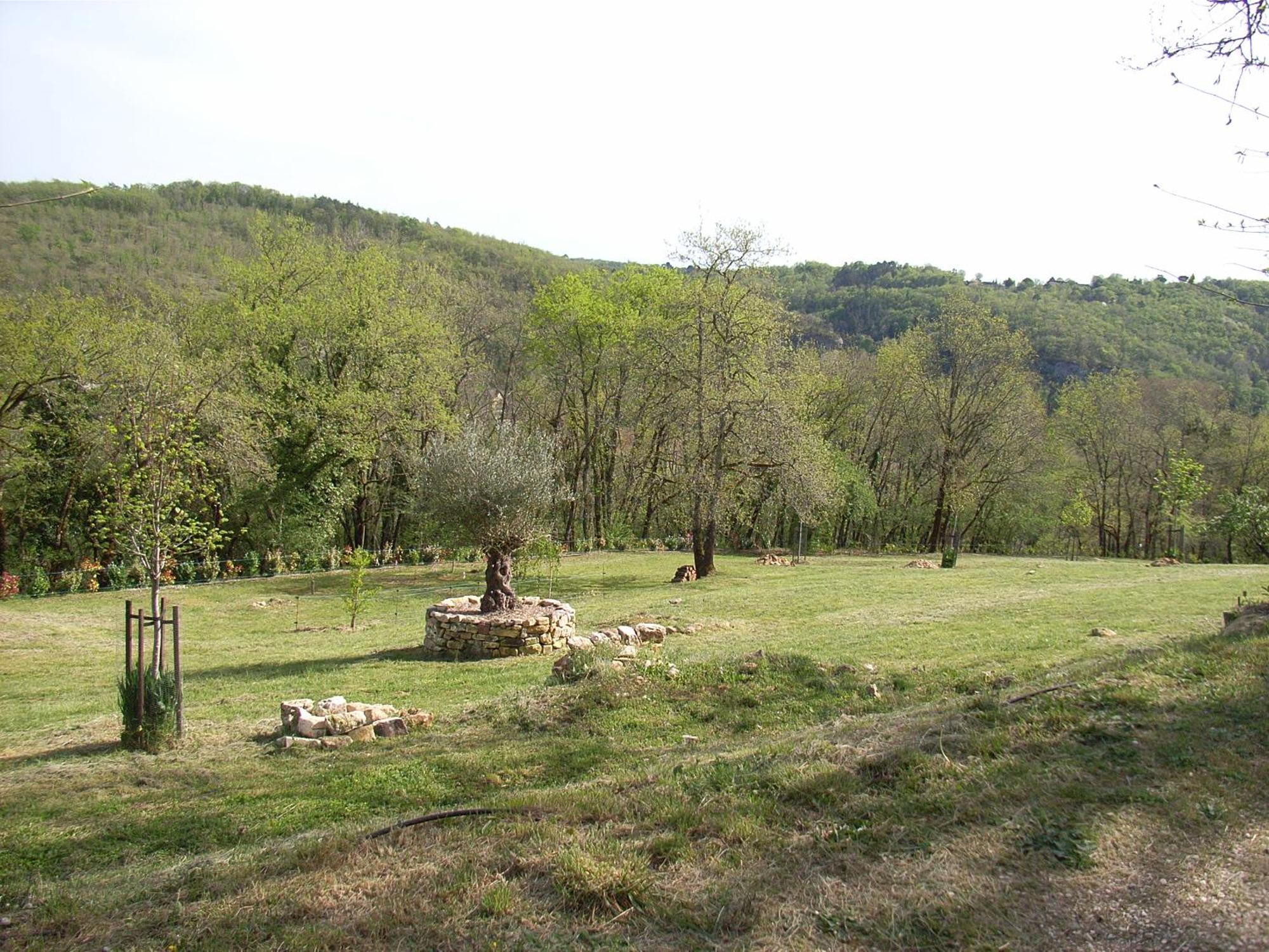 Studio Aux Eyzies Au Coeur De La Vallee De L'Homme Les Eyzies Exterior foto